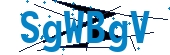 recaptcha